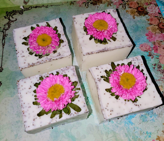 SUGAR COOKIE CHIA SOAP